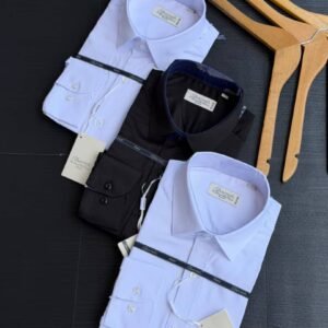 Classic Long Sleeve Formal Shirt
