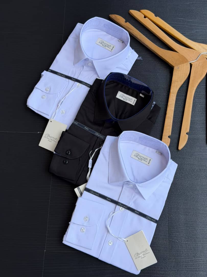 Classic Long Sleeve Formal Shirt